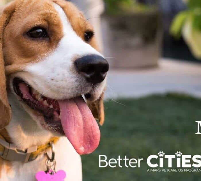 MARS: Better Cities for Pets