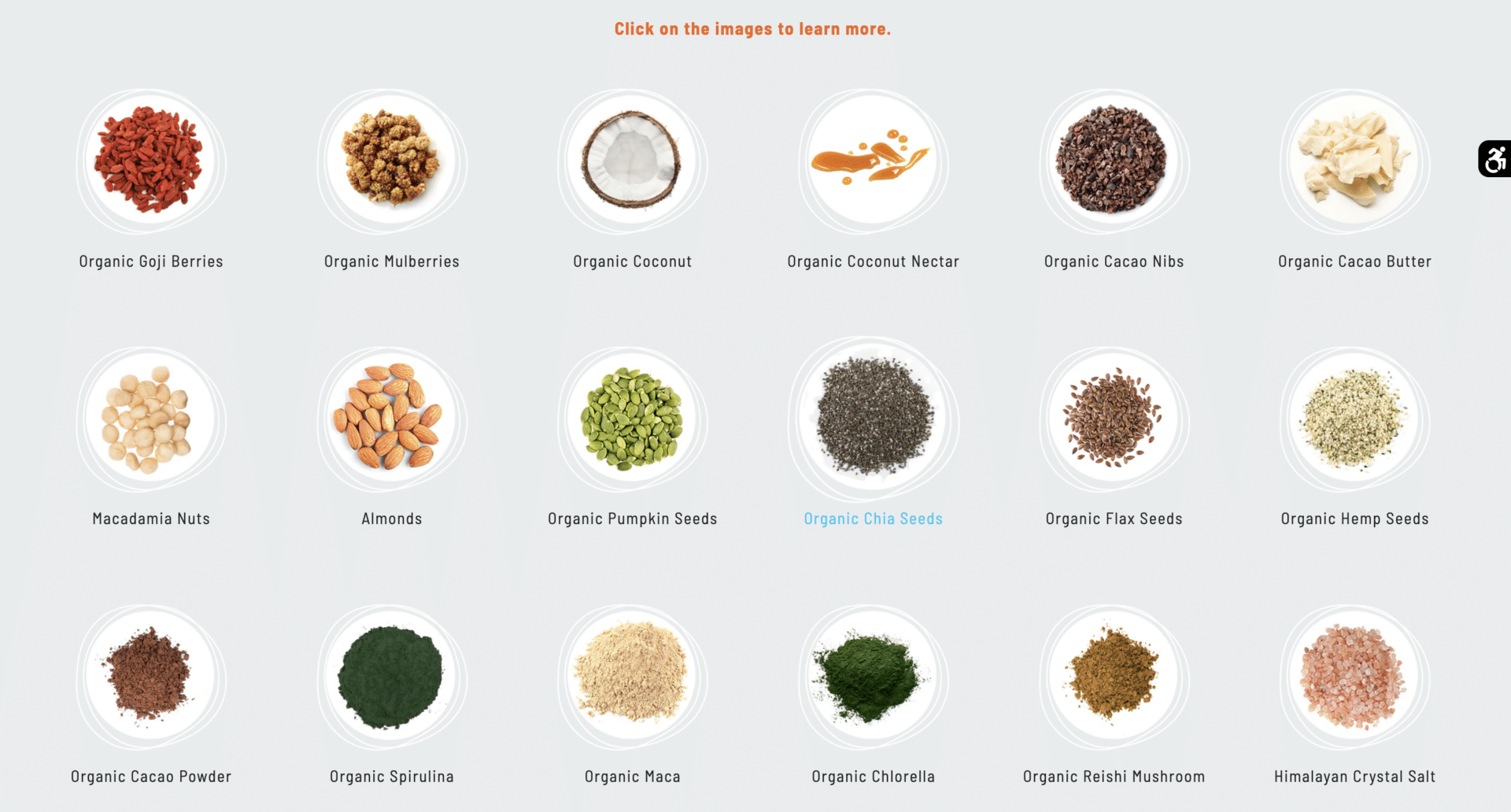 OHi Food: Website 